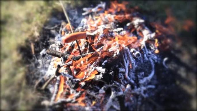在篝火上烘烤的木棍上的香肠