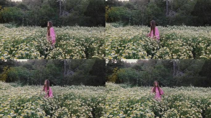 Woman in pink sweater walking at the meadow with d