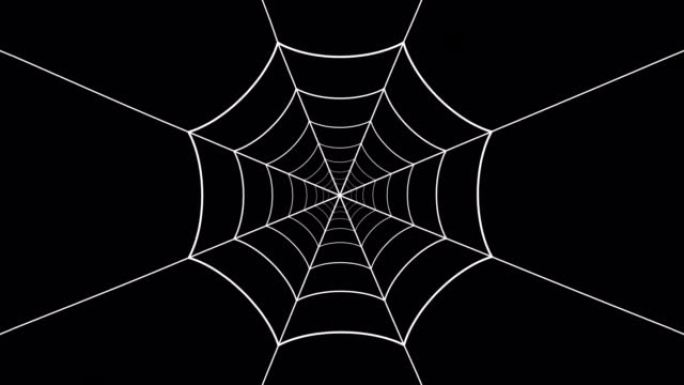 抽象蜘蛛网波动画背景与阿尔法通道4k
