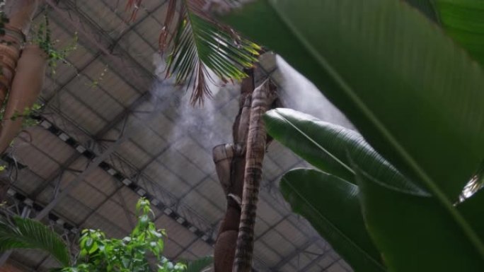 灌溉系统关闭。在植物园用蒸汽加湿空气，为植物创造气候。
