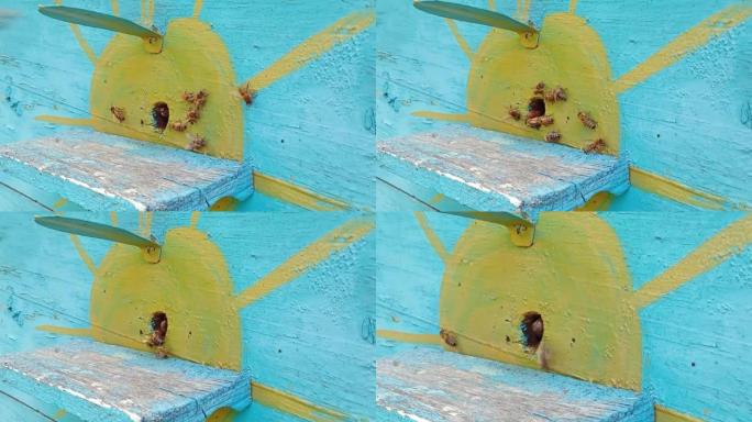 蜜蜂随着太阳飞进蓝色蜂巢。