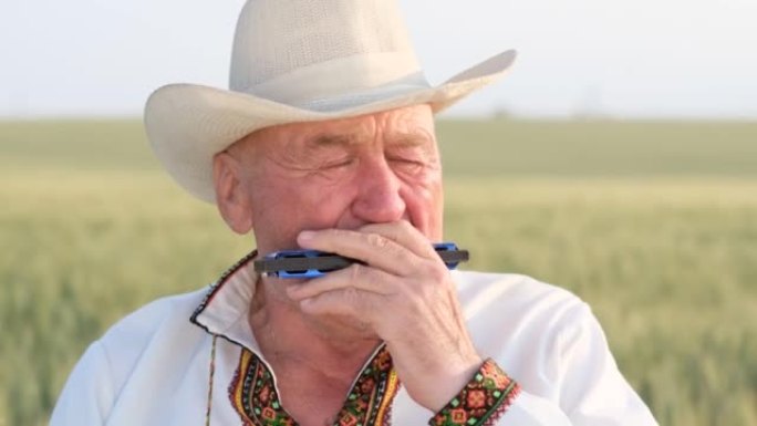 一位穿着刺绣夹克的乌克兰老祖父坐在麦田上演奏口琴