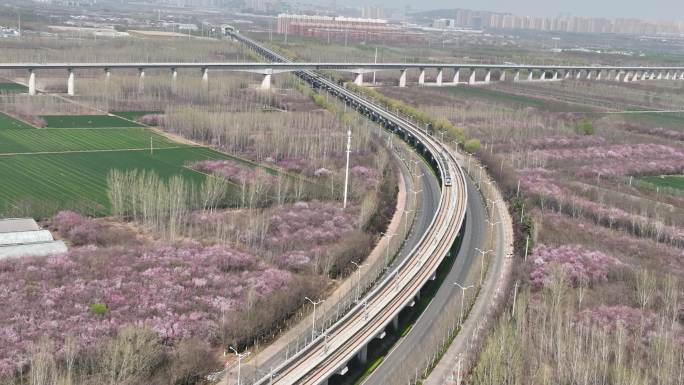 济南开往春天的地铁