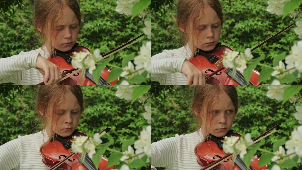 一个年轻美丽的高加索女孩拉小提琴