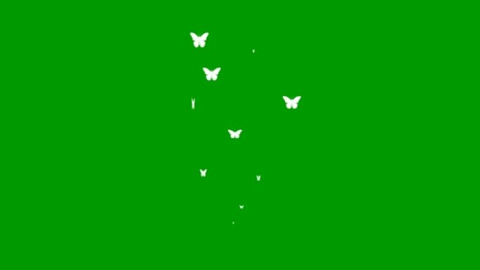 动画白蝴蝶从下往上飞。飞蝶的喷泉。夏天的概念。矢量插图孤立在绿色背景上。
