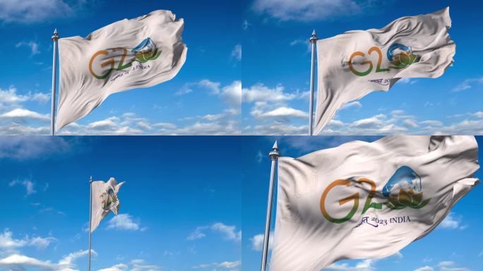 G20-2023-02旗帜