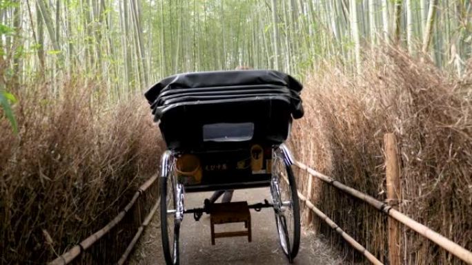 A rickshaw ride during a summer at arashiyama bamb