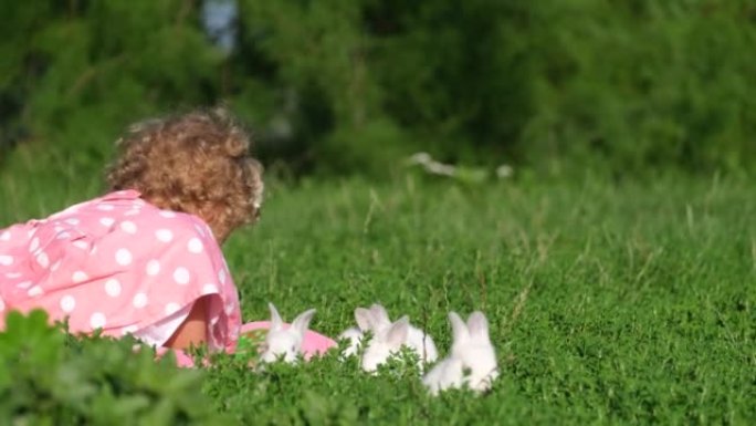 一个孩子和白兔在花园里的绿草地上玩耍。带宠物的快乐孩子。