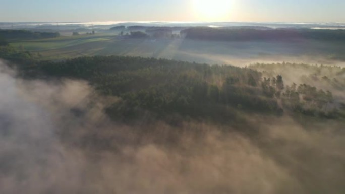 波兰雾蒙蒙的农田鸟瞰图。令人惊叹的自然景观美妙的早晨日出。阳光穿透树叶和树木的雾。清晨的雾在闪亮的山