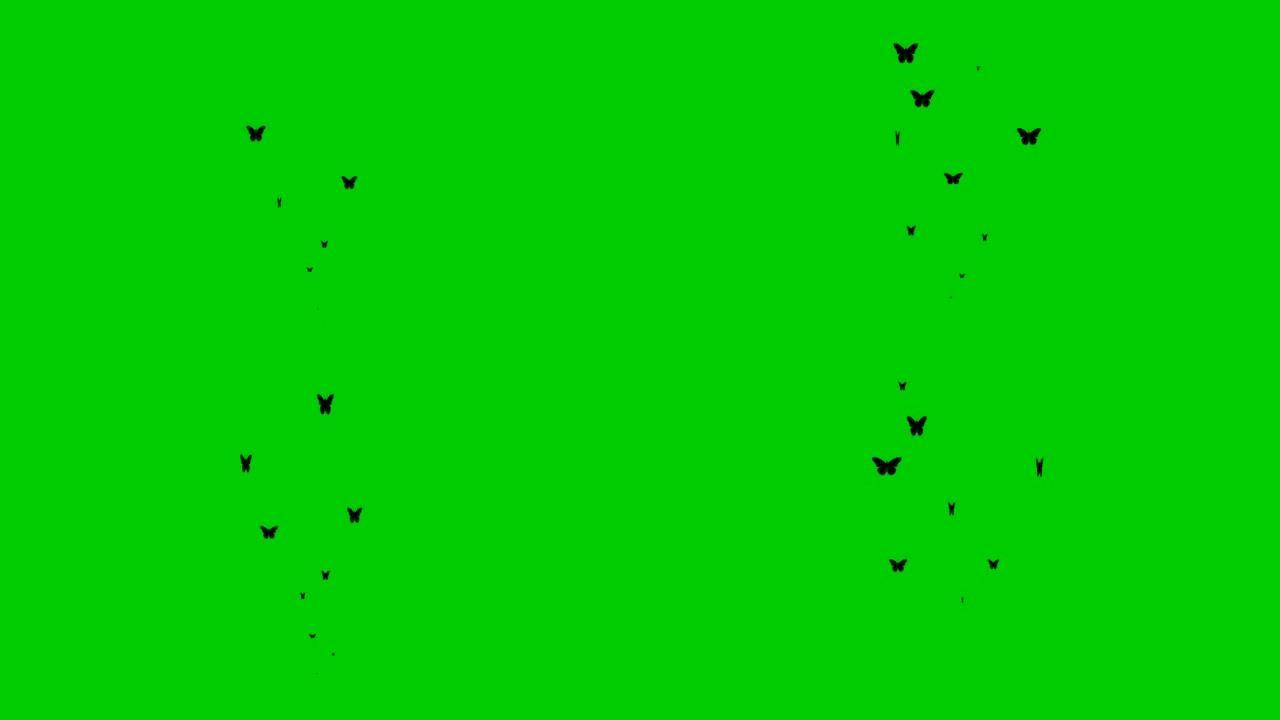 动画黑蝴蝶从下往上飞。飞蝶的喷泉。夏天的概念。矢量插图孤立在绿色背景上。
