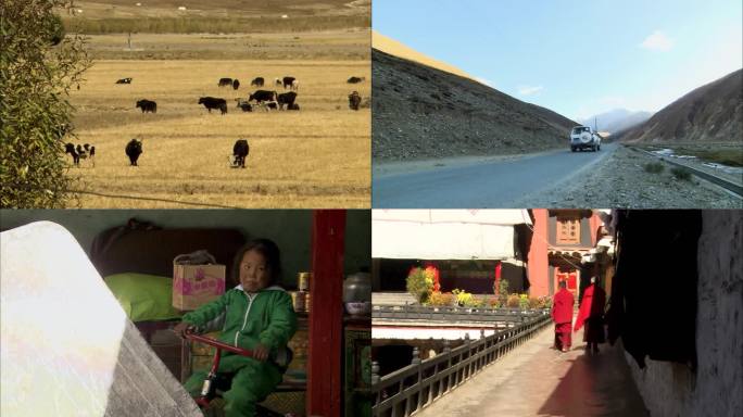 朝圣者 藏传佛教 民族风情 藏族文化