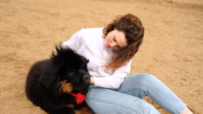 中年妇女坐在沙滩上，在户外拥抱藏獒狗。女孩和狗在海滩上玩耍