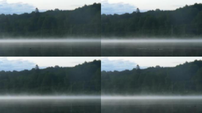 水纹虫在湖面上跳跃。