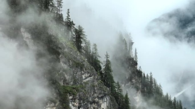 空中无人机拍摄了多洛米蒂与福雷斯，白云岩山脉，白云岩阿尔卑斯山或白云岩阿尔卑斯山的雾状松树树林，是位