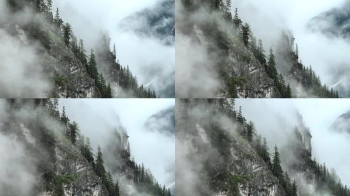 空中无人机拍摄了多洛米蒂与福雷斯，白云岩山脉，白云岩阿尔卑斯山或白云岩阿尔卑斯山的雾状松树树林，是位