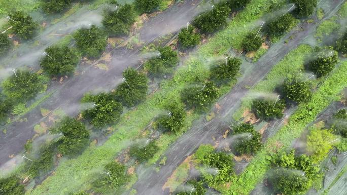 果园自动化灌溉