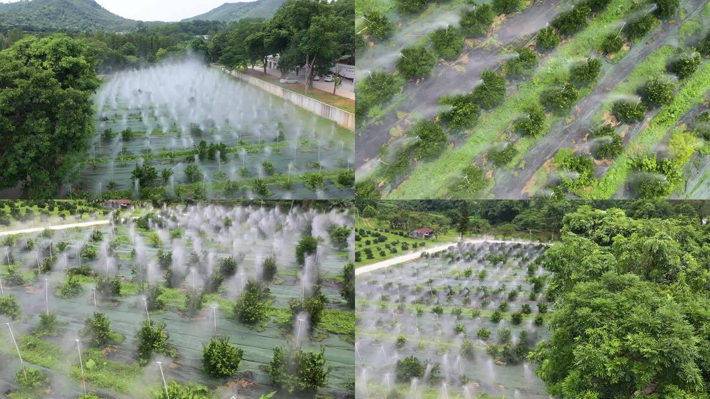 果园自动化灌溉