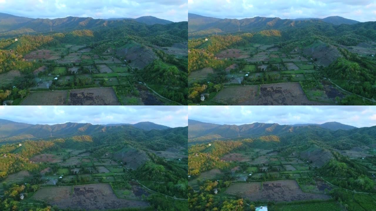 日落时分有丘陵和稻田的热带火山岛的空中拍摄