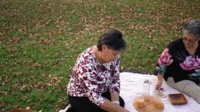 Friendly mother and daughter having a picnic