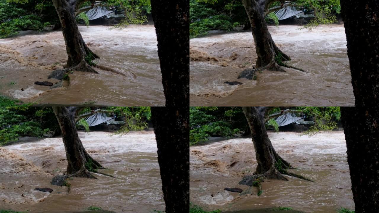 森林山脉的瀑布白内障。泰国暴雨过后，肮脏的溪流正沿着山林的山坡流下。河流洪水，选择性聚焦。