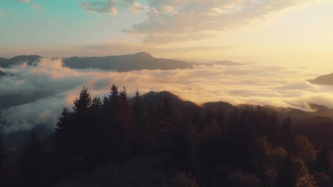 电影雄伟的雾森林鸟瞰图。佐治亚州阿扎尔地区的神奇雾。史诗般的惊人的自然景观。日落时分雾蒙蒙的秋天树。