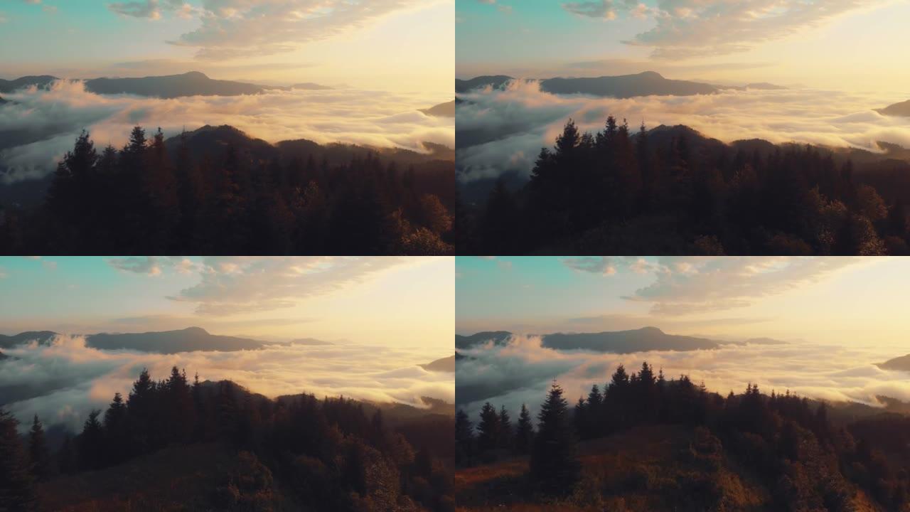 电影雄伟的雾森林鸟瞰图。佐治亚州阿扎尔地区的神奇雾。史诗般的惊人的自然景观。日落时分雾蒙蒙的秋天树。