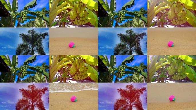 分屏。热带植物，香蕉棕榈和沙滩。旅游概念。