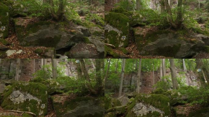 在森林里的岩石上翻盘