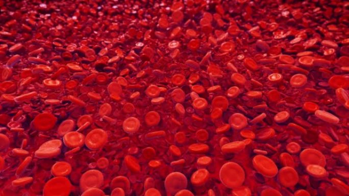 红细胞3D血液血细胞细胞阵列