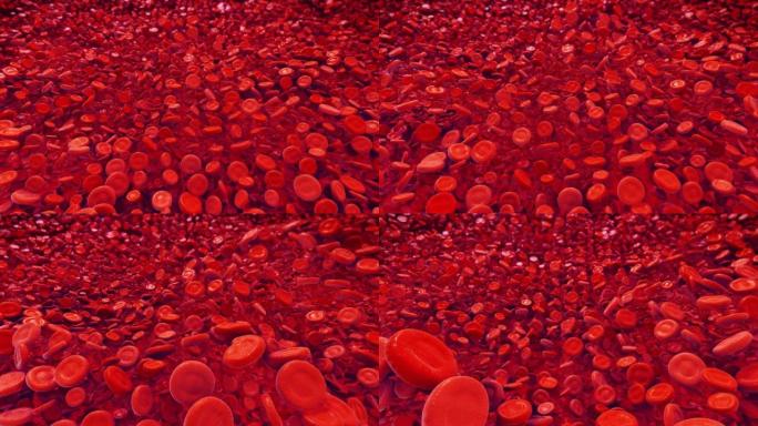红细胞3D血液血细胞细胞阵列