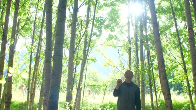老人打整树林 树木 树林 保护 生态巡查
