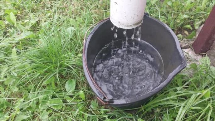 雨水从排水管滴入水桶