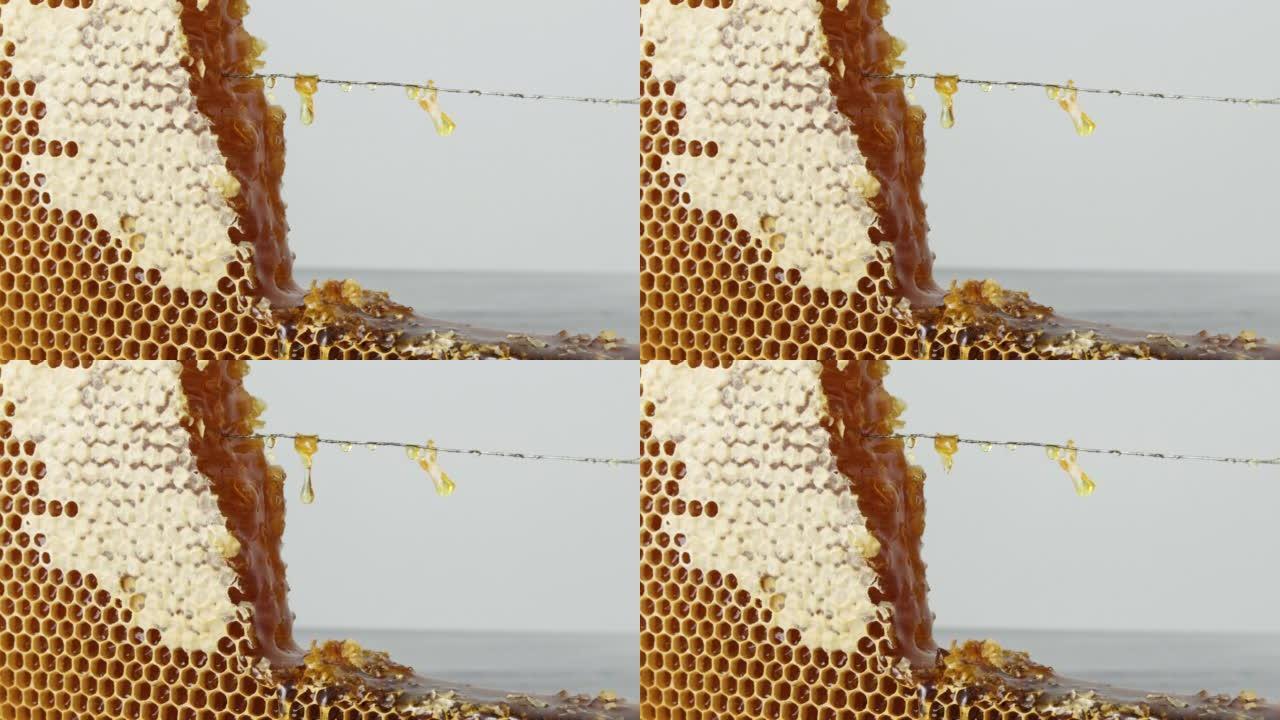 从桌子上木框的开放式蜂窝中滴下蜂蜜