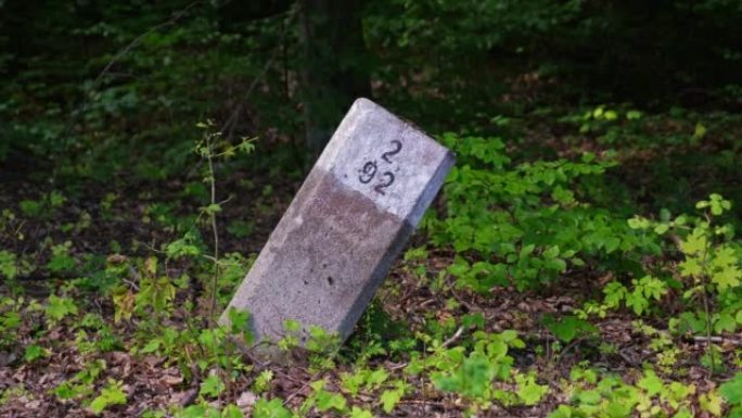 森林地块大地测量地理空间标记柱