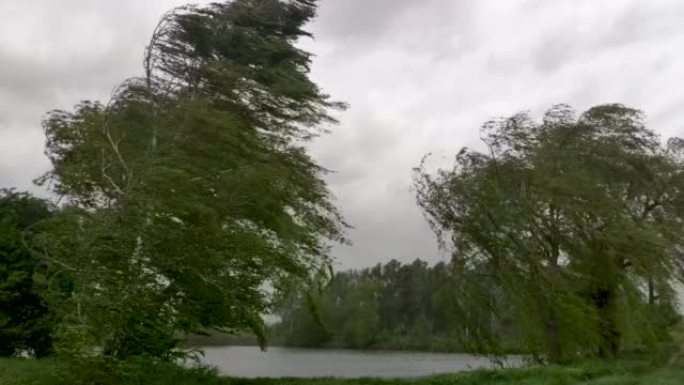 沙尘暴和极强的风使湖附近的桦树破碎。一天的飓风使树木弯曲，超级台风。树木被强风打碎了。非常糟糕的天气