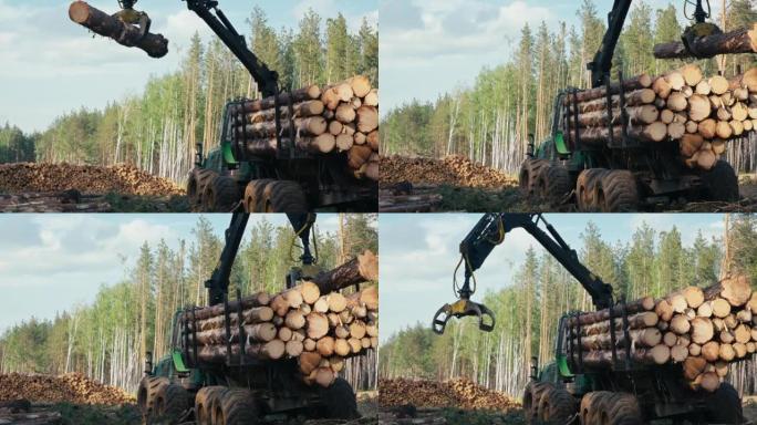 重型货物起重机机在林业用爪子堆放收获的原木