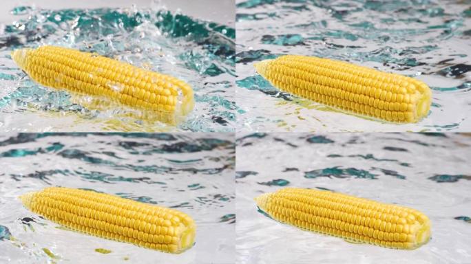新鲜的生玉米芯落在潮湿的白色表面上并溅起水