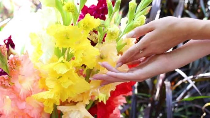 女人触摸五颜六色的花朵特写