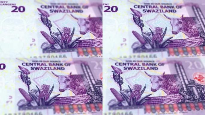 埃斯瓦蒂尼或斯威士兰利兰吉尼的钞票观察并保留跟踪多莉拍摄的侧特写埃斯瓦蒂尼或斯威士兰利兰吉尼的钞票4