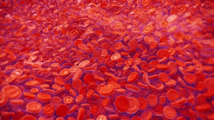 红细胞白血病细胞医药课程片头医疗科研细胞