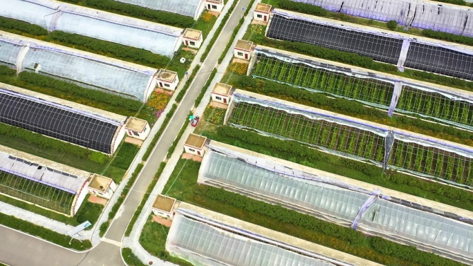 三农产业 农业 现代蔬菜大棚 温室大棚