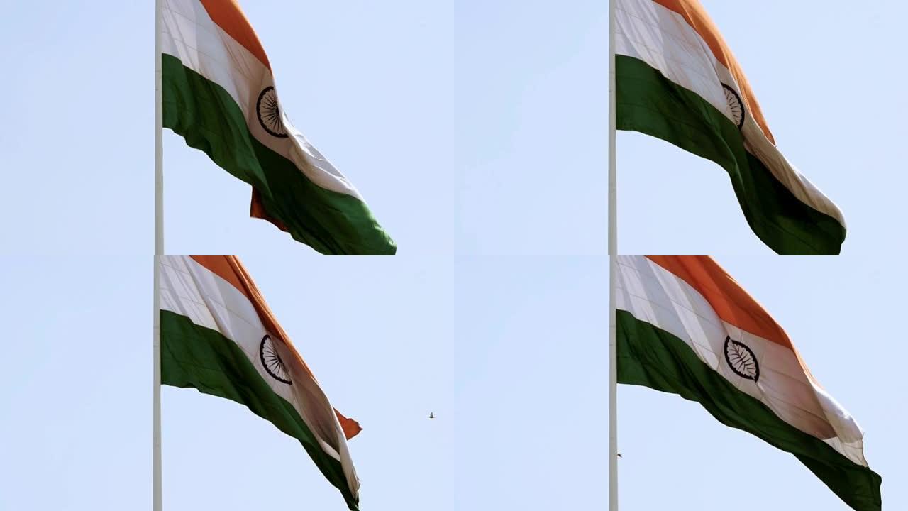 印度国旗慢动作在康诺特广场高高飘扬，在蓝天中自豪，印度国旗飘扬，印度独立日和印度共和国日的印度国旗，