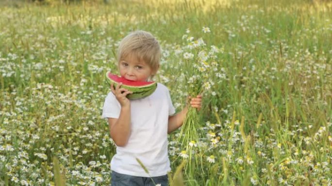 可爱的蹒跚学步的小孩，金发男孩，在美丽的雏菊田里吃西瓜