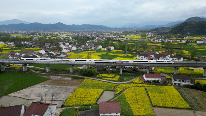 陕西汉中油菜花节高铁动车穿行油菜花海