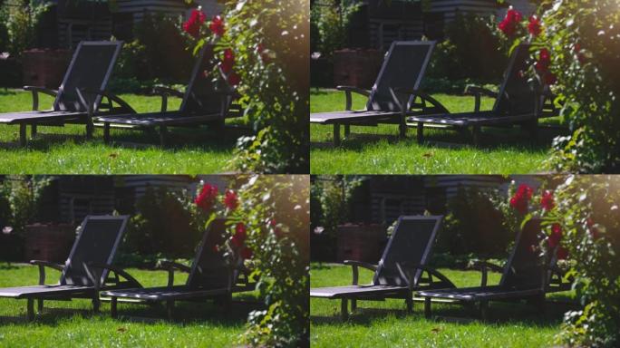 夏天花园里有两个日光浴躺椅。