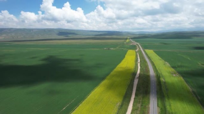 Aerival放大了油菜田沿线的道路