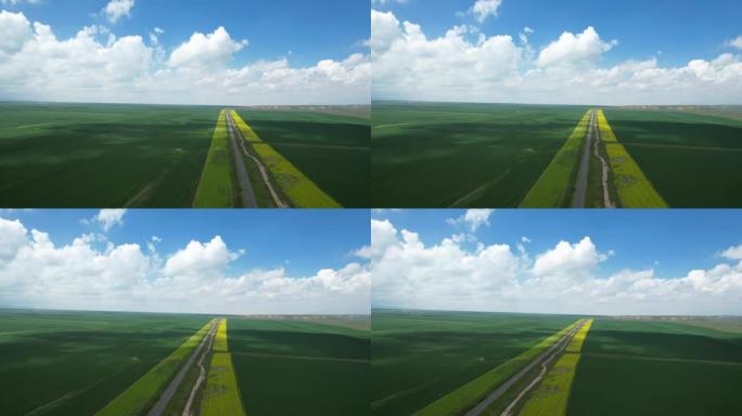 油菜田沿线的空中平移视图