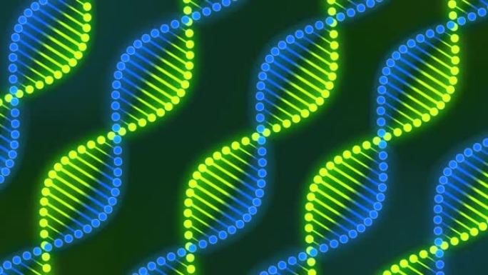 DNA旋转背景的数字动画，数字复合，科学和生物学，DNA和RNA细胞，4k抽象技术，连接线，电影广告