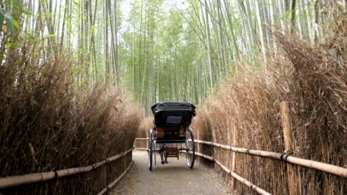 夏季在日本京都的岚山竹林乘坐人力车。