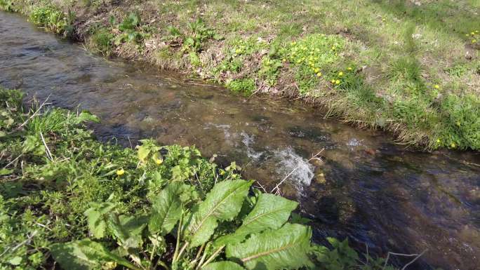 春天流淌着的清澈小溪